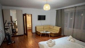 A hotel room with a bed, a sofa, a TV, a mirror, and a bicycle. - Barrique Eminescu 14 (Brașov)