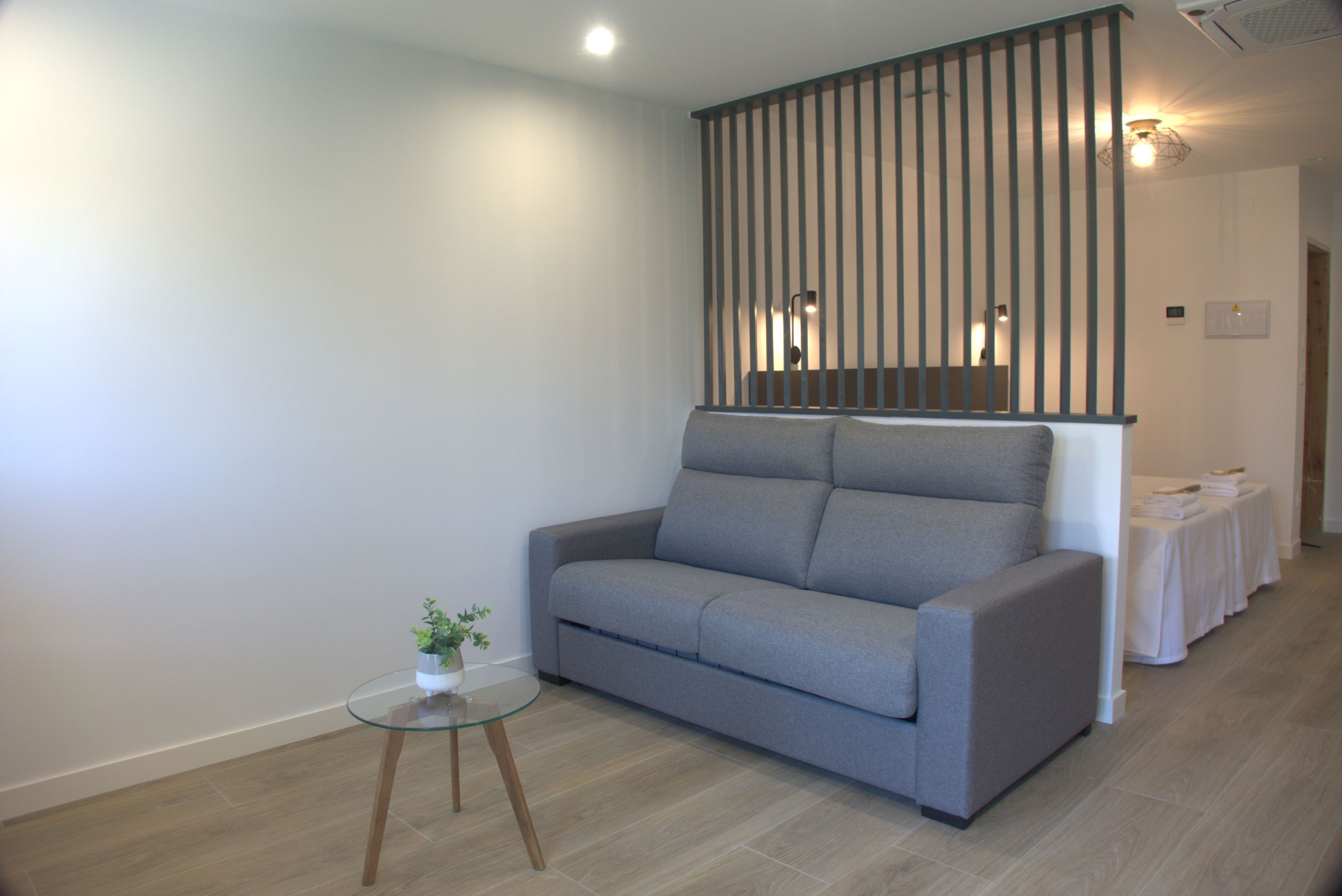 Un salon moderne avec un canapé gris, une table basse en verre et une petite plante.