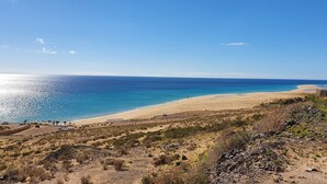 Un paysage côtier avec une plage, un ciel dégagé et une végétation clairsemée.