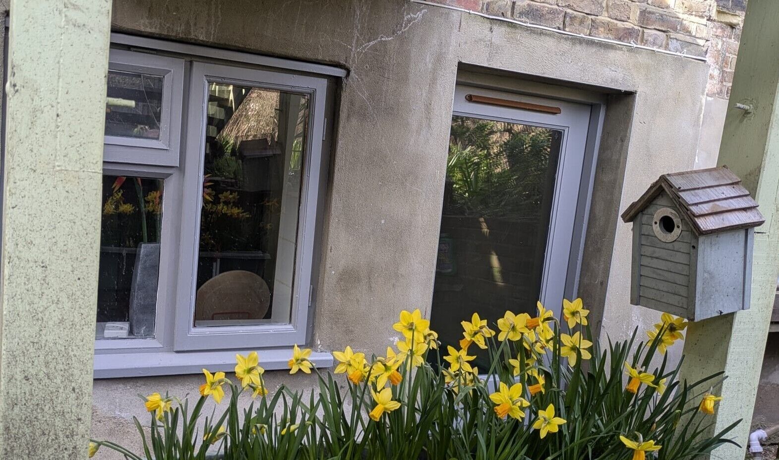 A building with a window, a birdhouse, and daffodils in front.