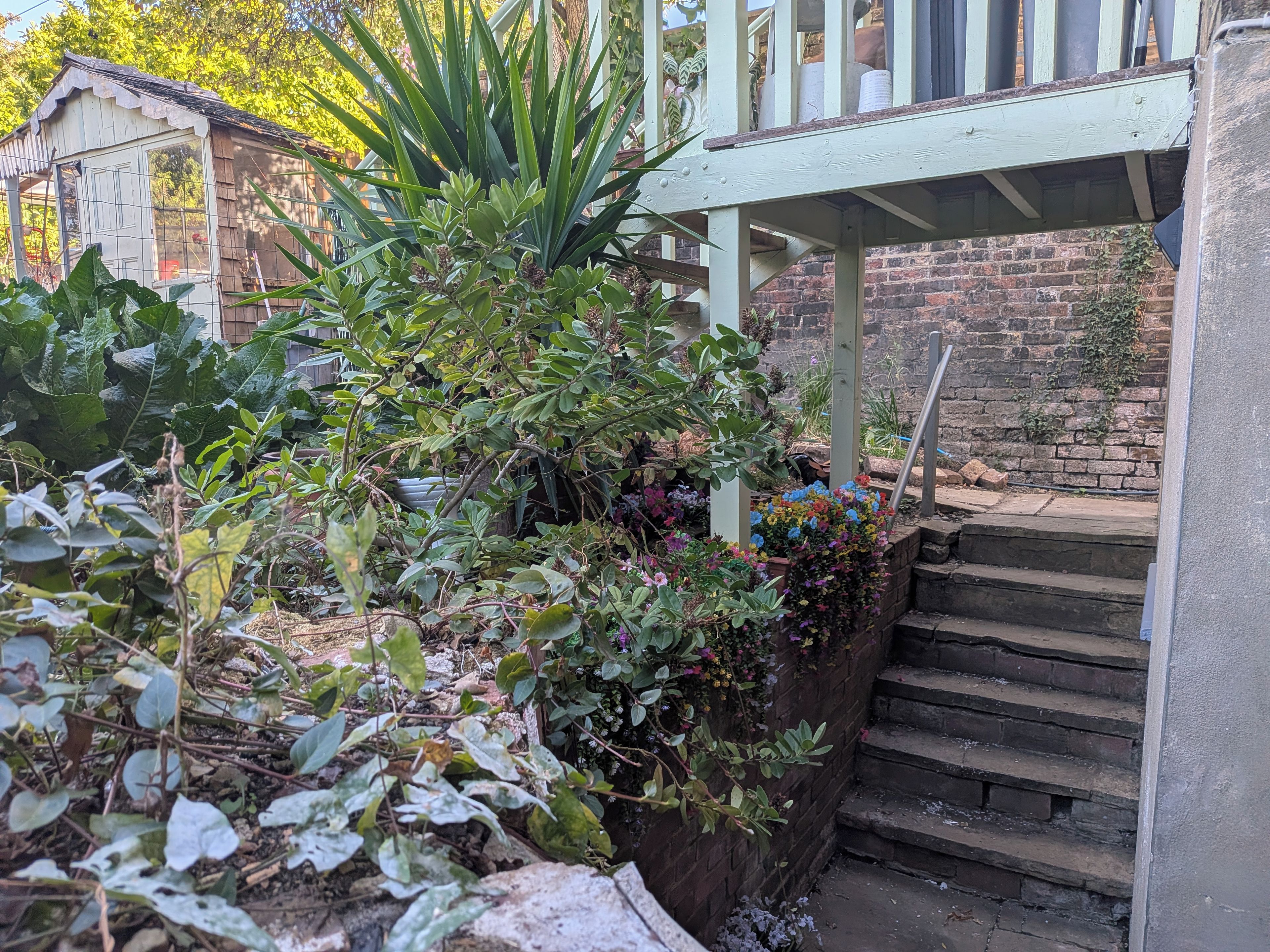 A garden with various plants and a brick wall.