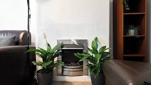 Ein Wohnzimmer mit Kamin, zwei Blumentöpfen, einem Ledersofa und einem Holzregal.