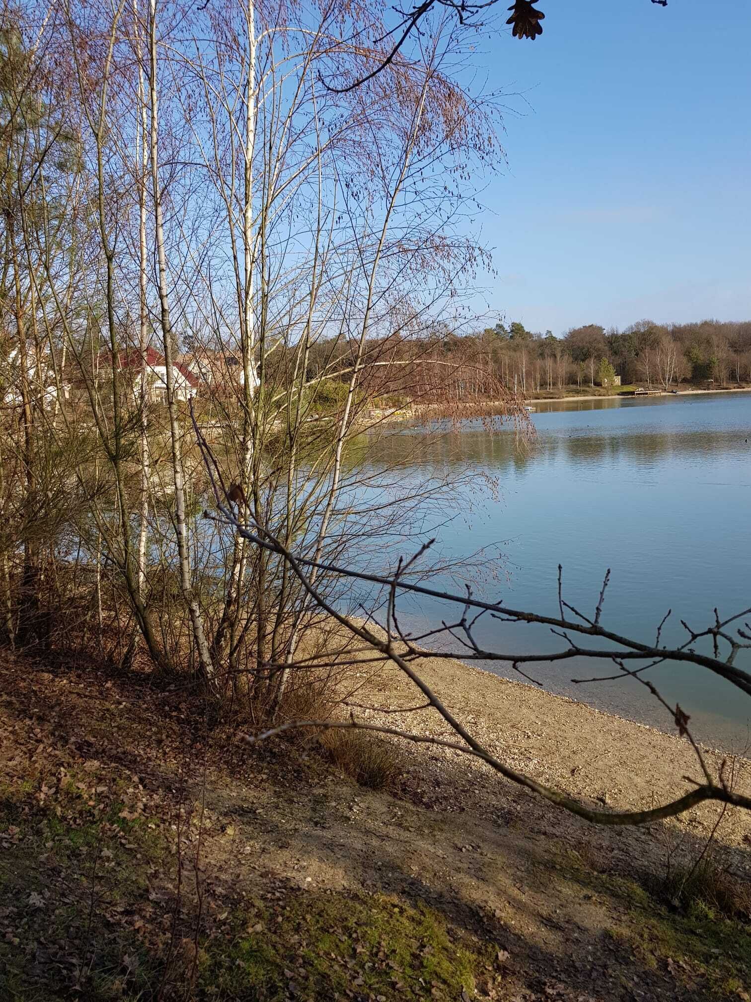 A natural landscape with a body of water, trees, and a distant building.