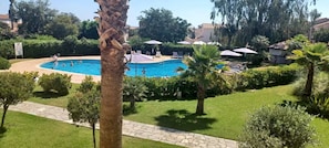 A swimming pool surrounded by palm trees and greenery, with lounge chairs and umbrellas. - T4 all comfort - walking distance to the beach 2 swimming pools (Linguizzetta)