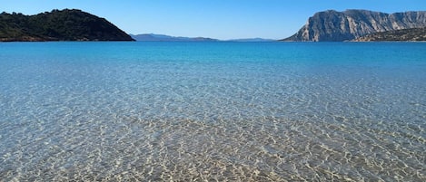 Ranta