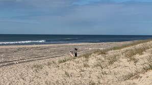A beach with sand dunes and a wooden bench.