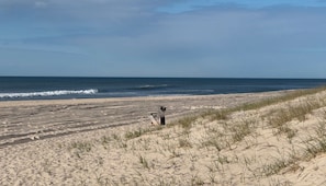 A beach with sand dunes and a wooden bench. - Bridgehampton, NY cottage near Sag Harbor, NY. Elegant and modern. (Bridgehampton)