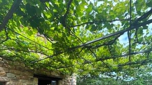 Une terrasse extérieure avec un mur en pierre, une table en bois et des chaises.