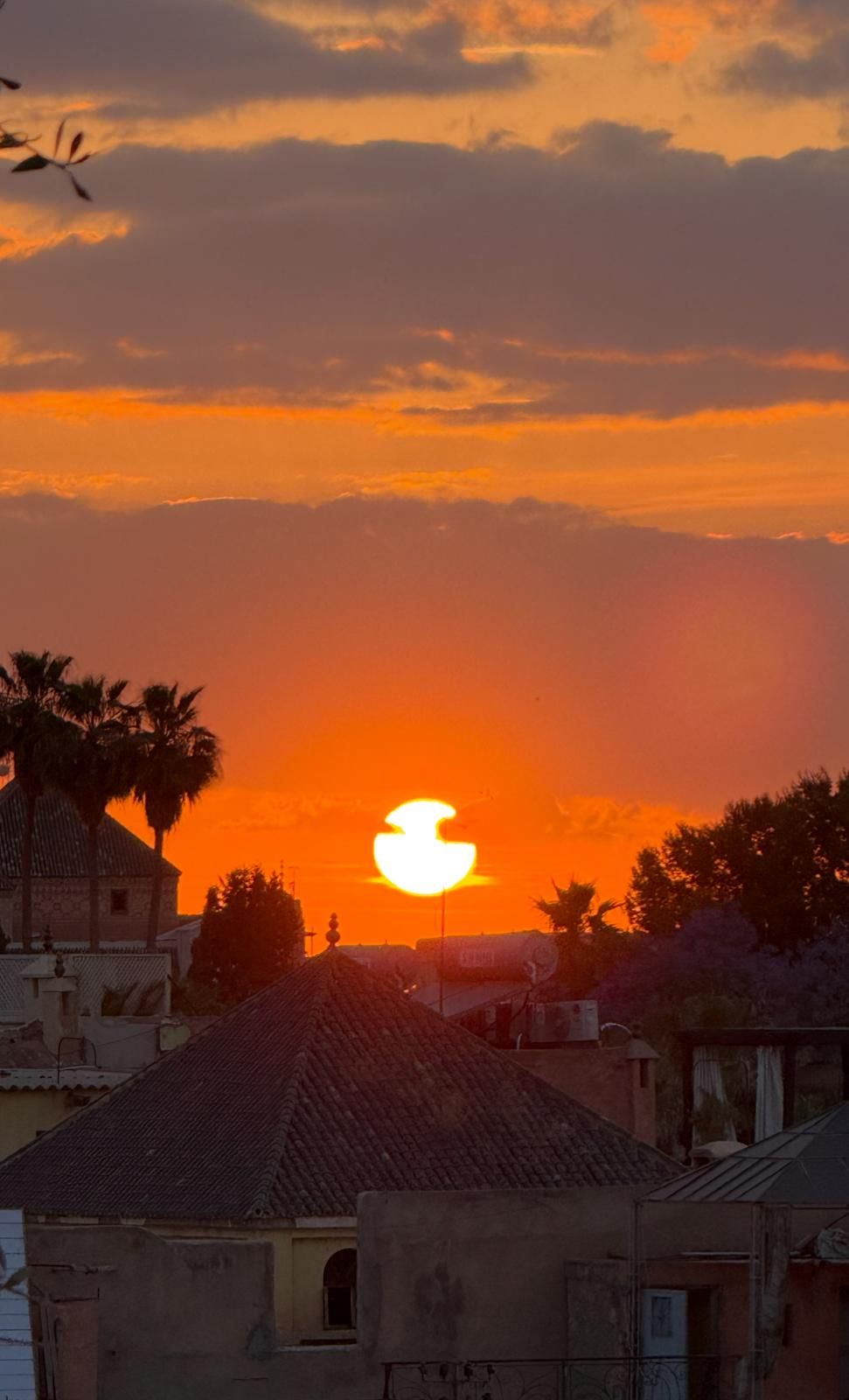 A sunset over a residential area with houses and palm trees.
