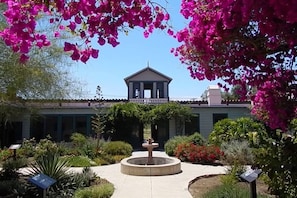 A courtyard with a fountain, surrounded by lush greenery and flowering plants.