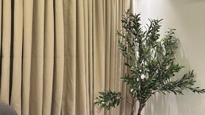 Una habitación con un ventanal amplio, una planta en maceta y un sofá de color oscuro.