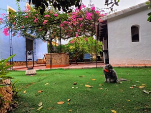 A courtyard with artificial grass, a stone planter, and a building with a window. - Las Rotas Studio (VC)