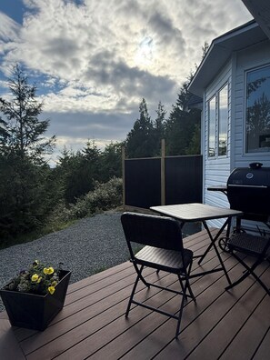 A deck with a table and chairs, a grill, and a flower pot.