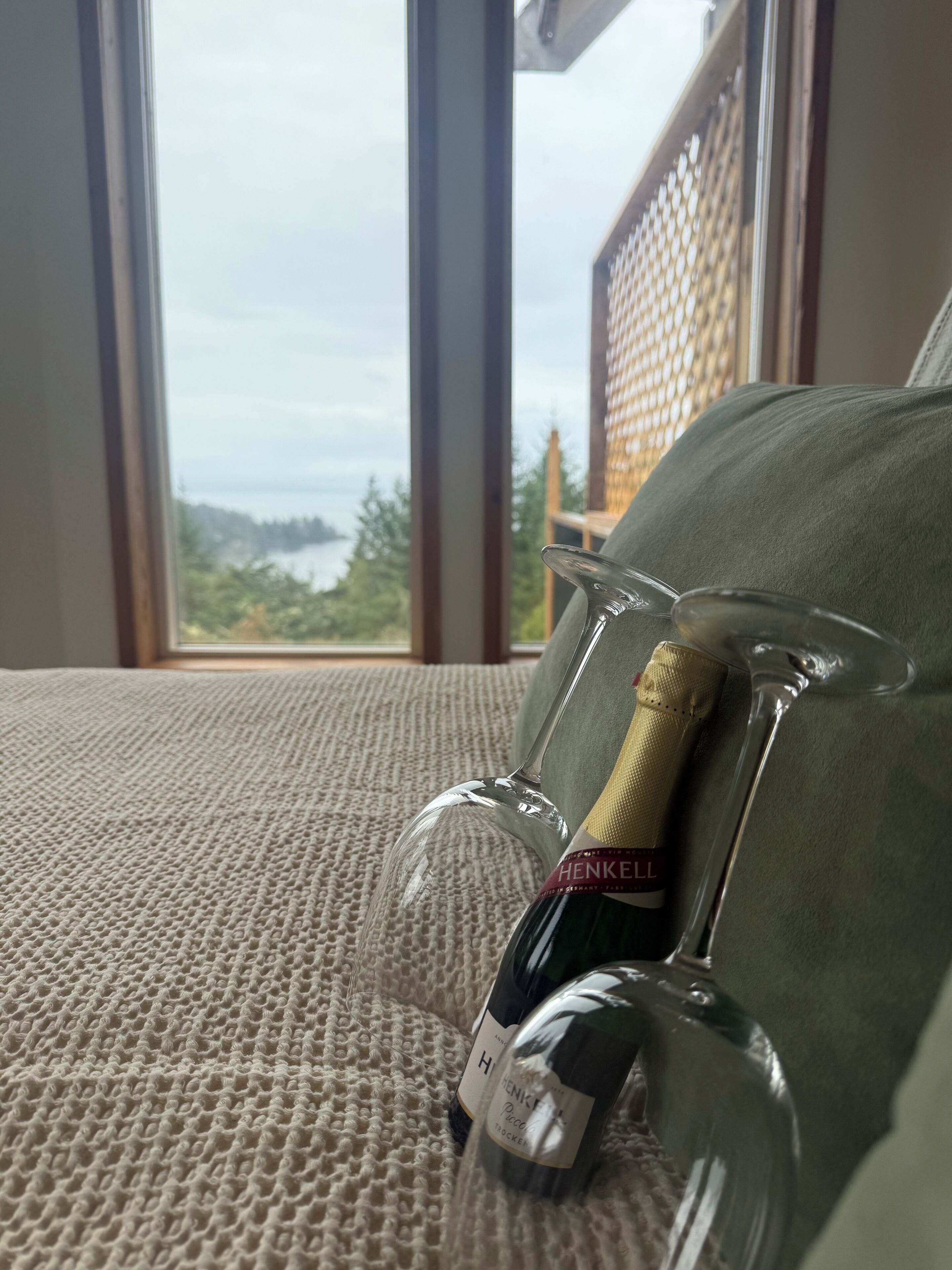 Una botella de vino HENKEll con una copa sobre un sofá texturizado, con vistas a zonas verdes y un edificio a través de una ventana.
