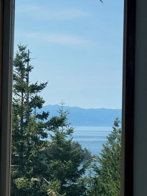 Vista desde la ventana: un área boscosa con una masa de agua y montañas a lo lejos.