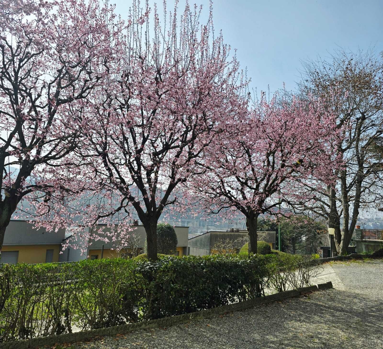 Parco della struttura