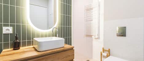 Shower, hair dryer, toilet paper