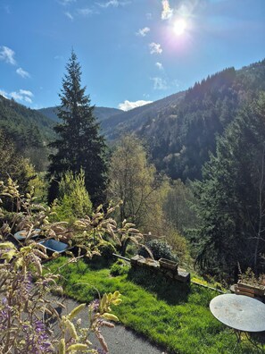 Property grounds - VACATION HOME IN THE HEART OF NATURE (Saint-Julien-d'Intres)