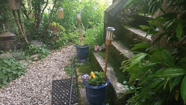 Ein Garten mit einem hölzernen Vogelhäuschen, einem blauen Pflanzgefäß mit Blumen und einem Steinweg.