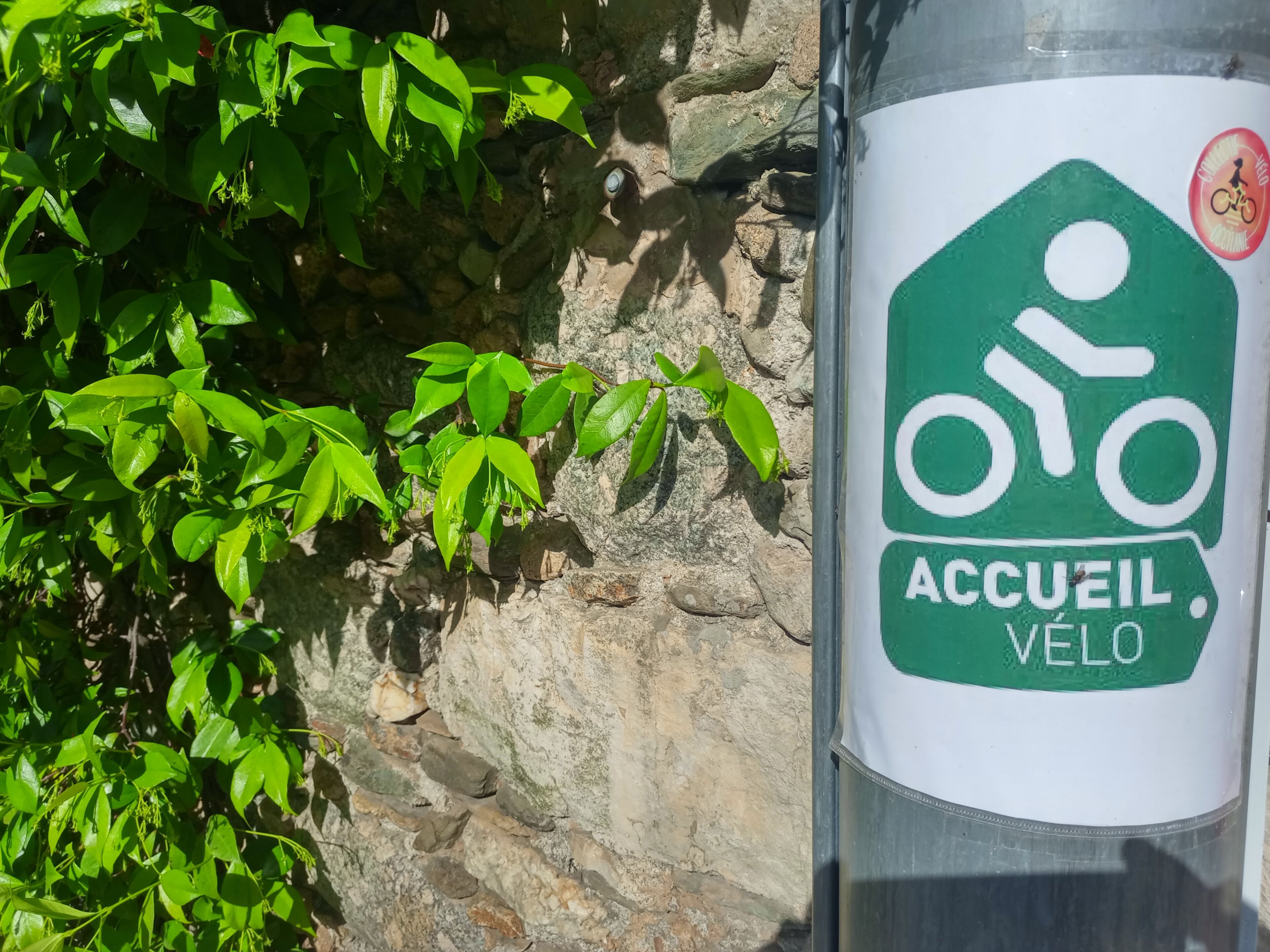 Un pictogramme de vélo vert sur un panneau indiquant « ACCUEIL VÉLO », signalant une zone de stationnement pour vélos.