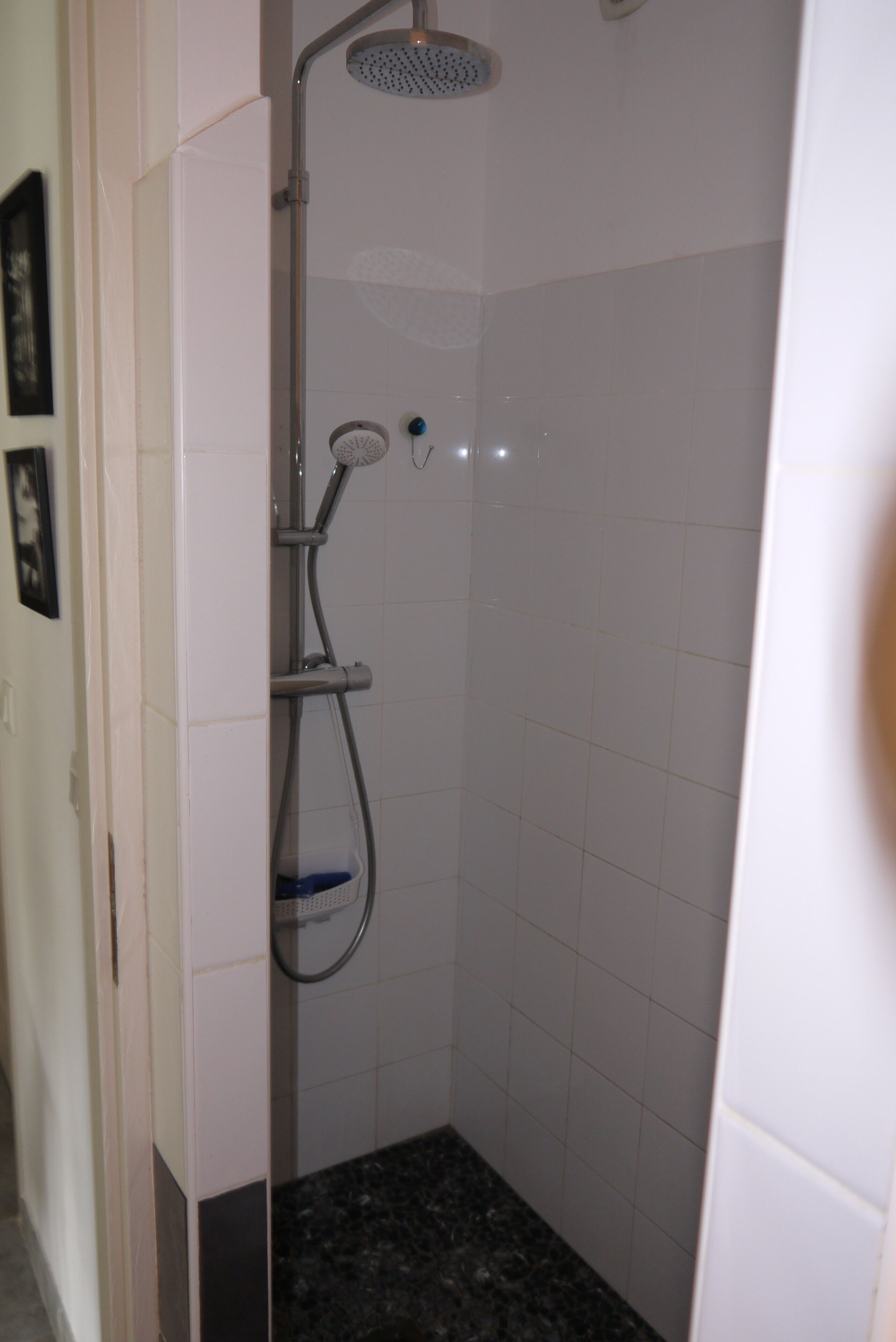 A shower with a handheld showerhead, a wall-mounted faucet, and a handheld showerhead.
