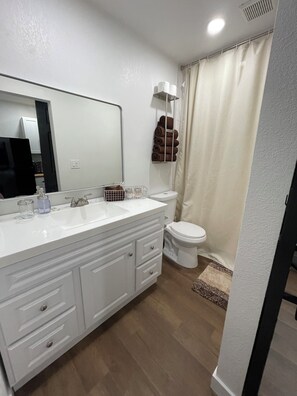 Shower, hair dryer, towels, soap - Cozy 1-bedroom studio in perfect Tampa with AC (Tampa)
