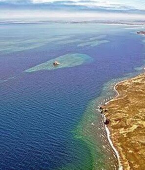 Aerial view - Retreat Lodge /  Prehistoric Location 12-Bedroom Cabins on Magestic Lliamna Lake (Lliamna)