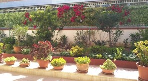 Property grounds - Two-room apartment surrounded by greenery (Gallipoli)