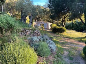 A stone building with a pathway leading to it, surrounded by lush greenery and trees. - Charming house in a magnificent park facing the sea and its sunset (Pigna)