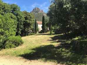 A rural landscape with a building surrounded by trees and a mountain in the background. - Charming house in a magnificent park facing the sea and its sunset (Pigna)