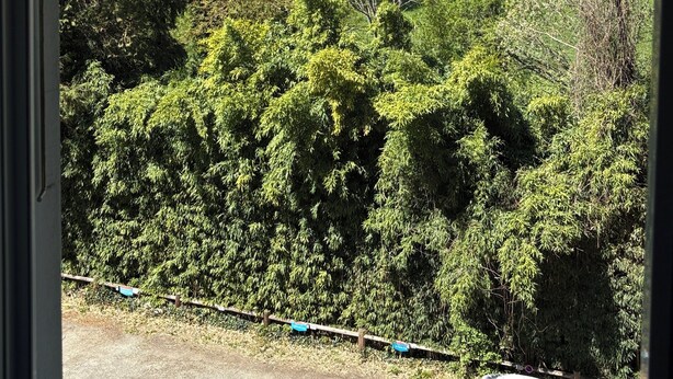 Uitzicht op een bergachtig landschap met bomen en een klein gebouw in de verte.