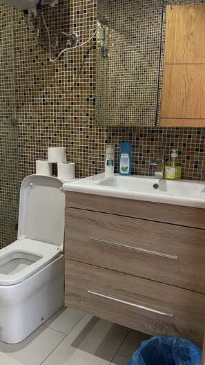 Hair dryer, towels, soap, toilet paper - Les palmiers de Marrakech (Marrakesh)