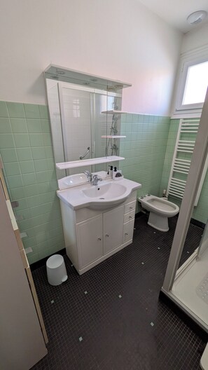 Une salle de bain équipée d’un lavabo, d’un miroir, de toilettes et d’une douche.