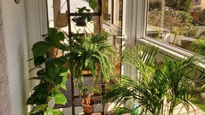 A sunlit balcony with potted plants, a wooden trellis, and a view of the neighborhood. - La Corbusière de Pessac (Pessac)