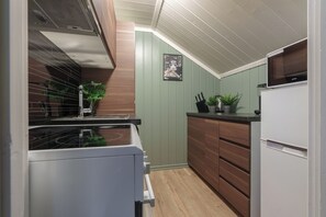 Fridge, microwave, oven, stovetop - Lovely renovated 1-bedroom apartment in the center of Lillehammer (Innlandet)