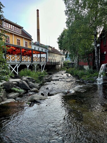 Lovely renovated 1-bedroom apartment in the center of Lillehammer