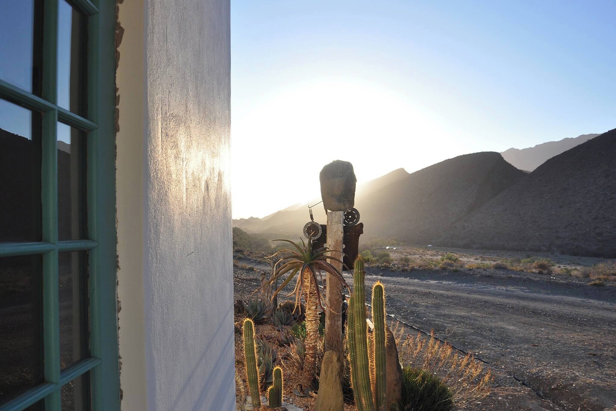 Paesaggio desertico con cactus e cielo sereno.