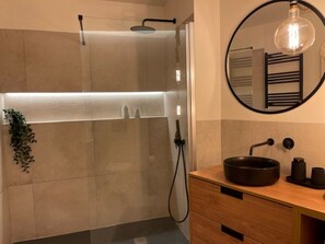 Regadera, secadora de cabello, bidet, toallas 