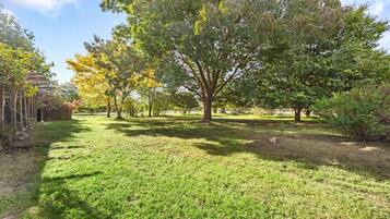 A grassy park with trees and a wooden structure.