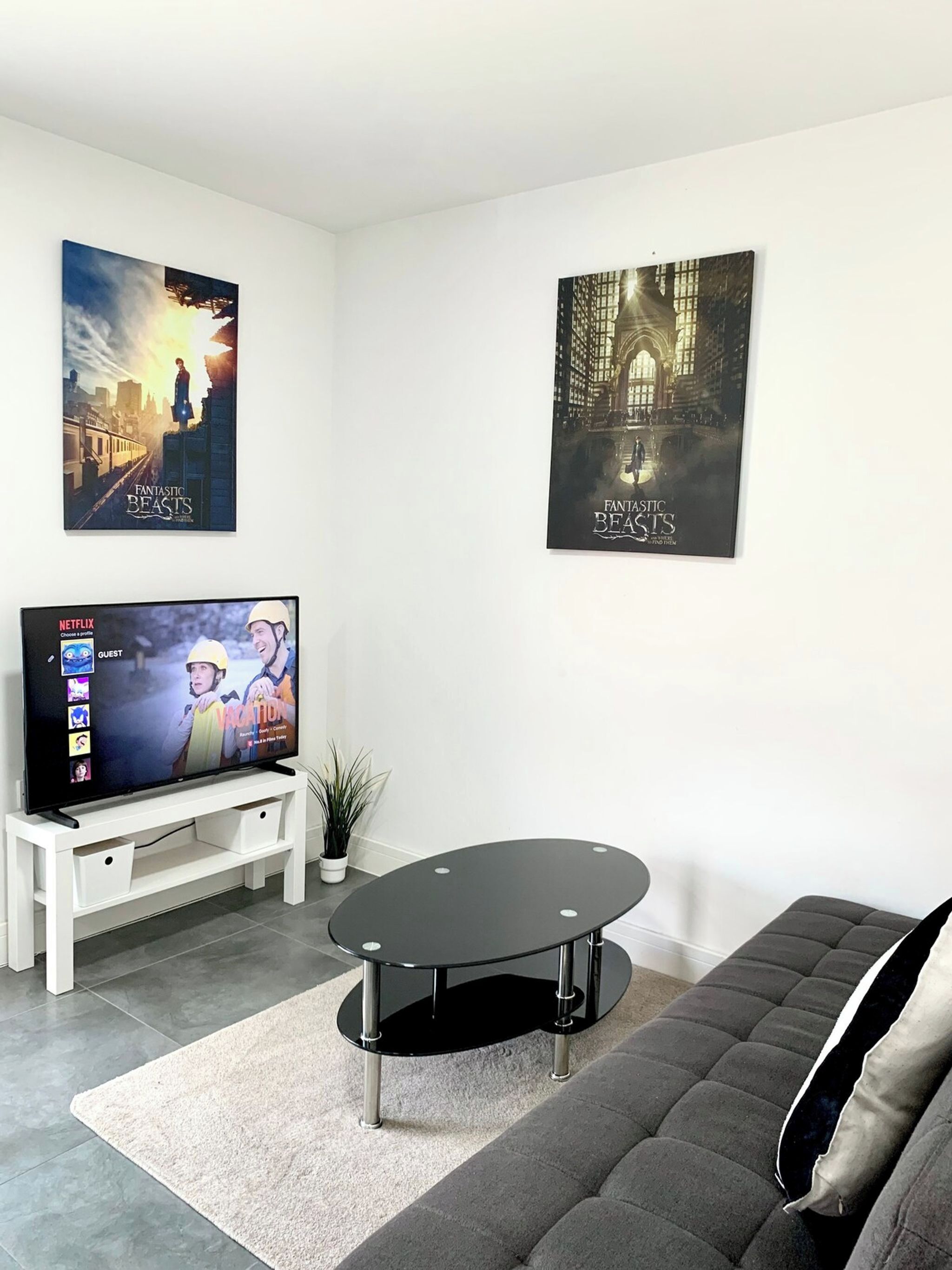 Fernseher