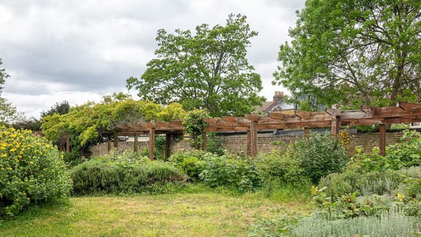 Un jardín con un pérgola de madera, pared de ladrillo y diversas plantas.