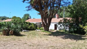 A large tree in a grassy area with a building in the background. - Authentic Vendée farmhouse set in a large wooded area 15 minutes from the sea (saint jean de monts)