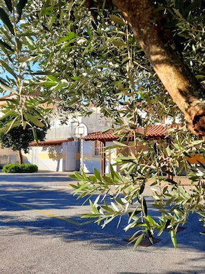 An outdoor area with olive trees, a building with a red-tiled roof, and a paved ground. - Casa Jone | olive tree
__ A country retreat with signature design (poço redondo, junceira, TOMAR)