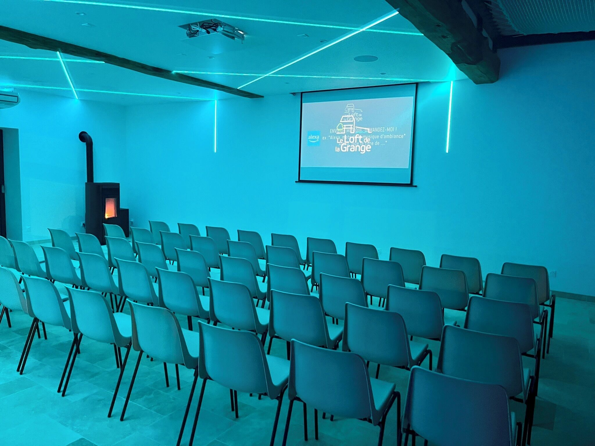 Ein Konferenzraum mit Stuhlreihen, einer Projektionsleinwand und einem Kamin.