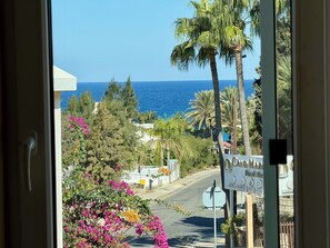 Blick auf eine Küstenstraße mit blauem Meer, Palmen und einem Schild für 'OCAYO MAR'.