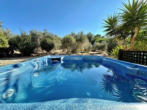 Ein klarer, blauer Pool mit Kieselsteinputz, umgeben von Bäumen und einer felsigen Landschaft.