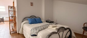 HOUSE FOR GROUPS AND LARGE FAMILIES IN ZAMORA "LA GAVIA".