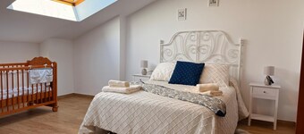 HOUSE FOR GROUPS AND LARGE FAMILIES IN ZAMORA "LA GAVIA".