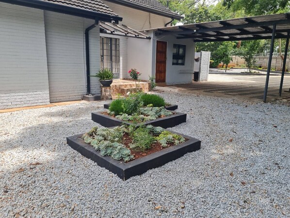Une maison moderne avec une allée en gravier, un patio couvert et un jardin agrémenté de jardinières rectangulaires.