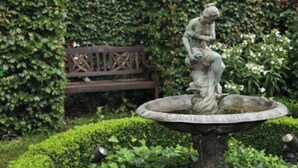 A statue on a fountain in a garden with a bench in the background. - Engelapartment in the Villa Schulenburg (Putbus)